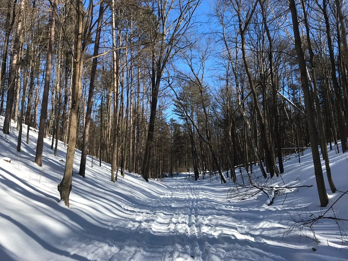 Durham Regional Forest