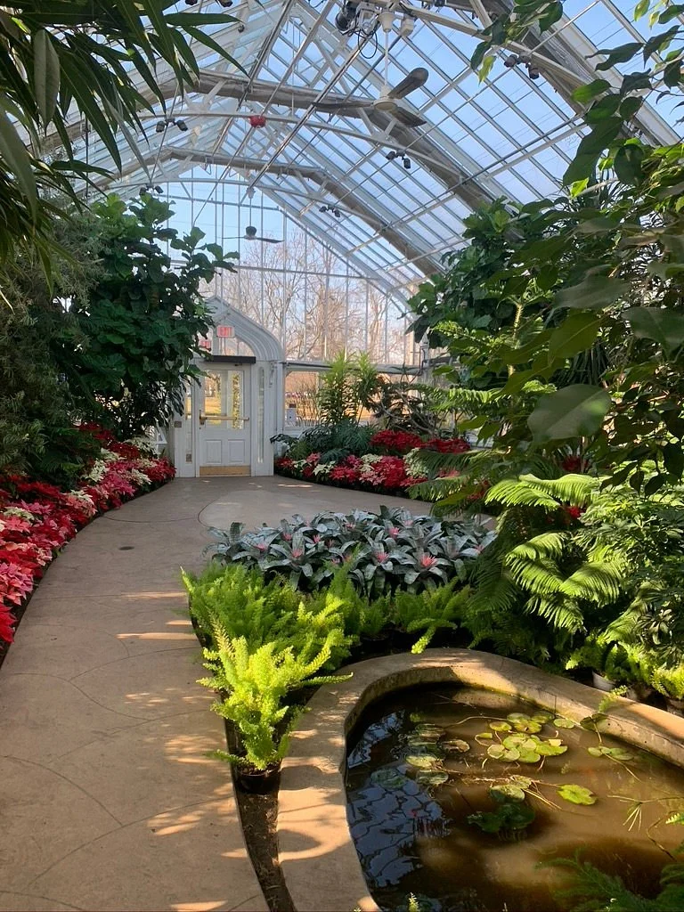 Wilder Park Conservatory
