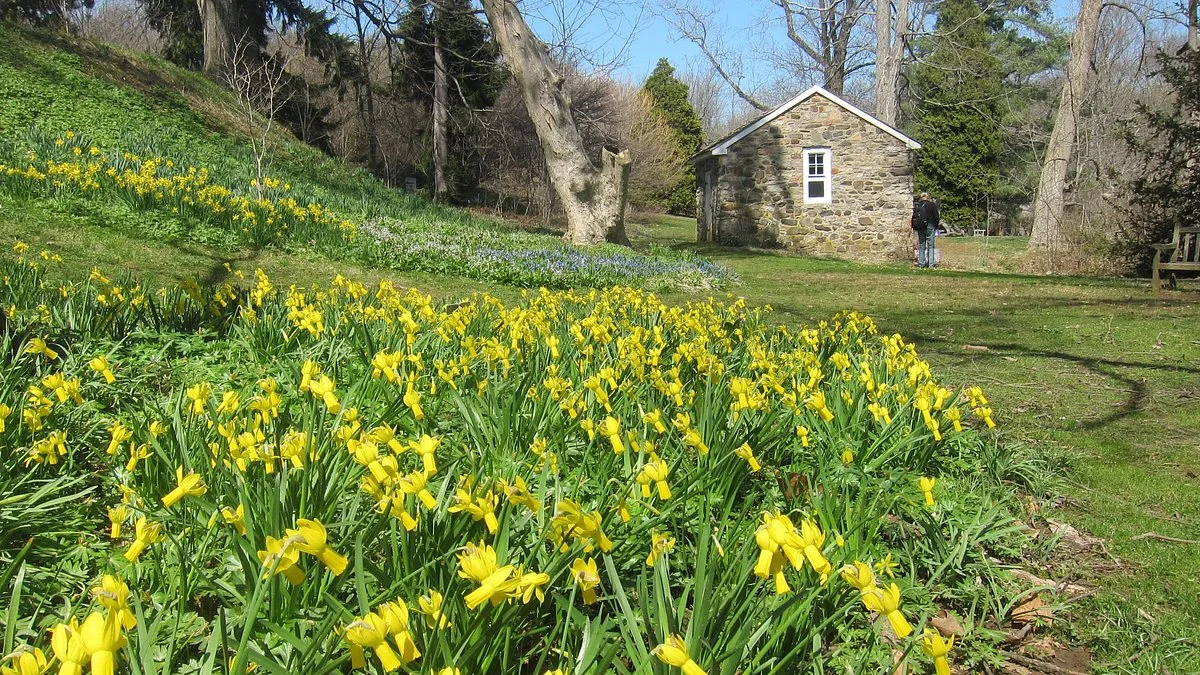 Tyler Arboretum