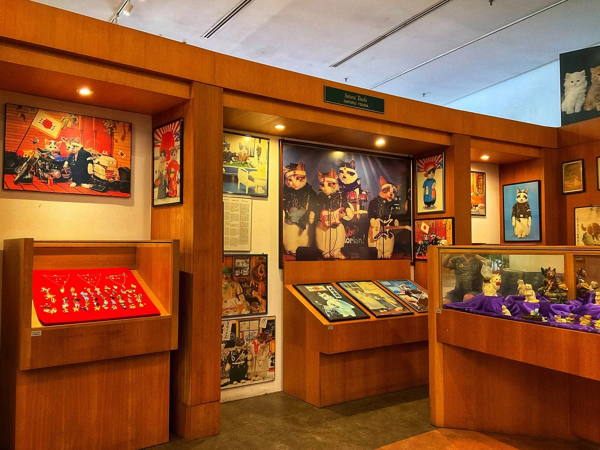 Cat Museum