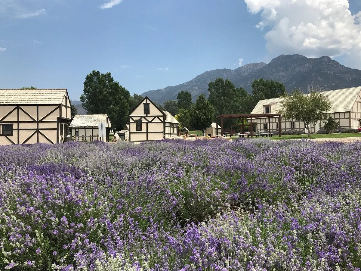Young Living Farms Lavender Farm