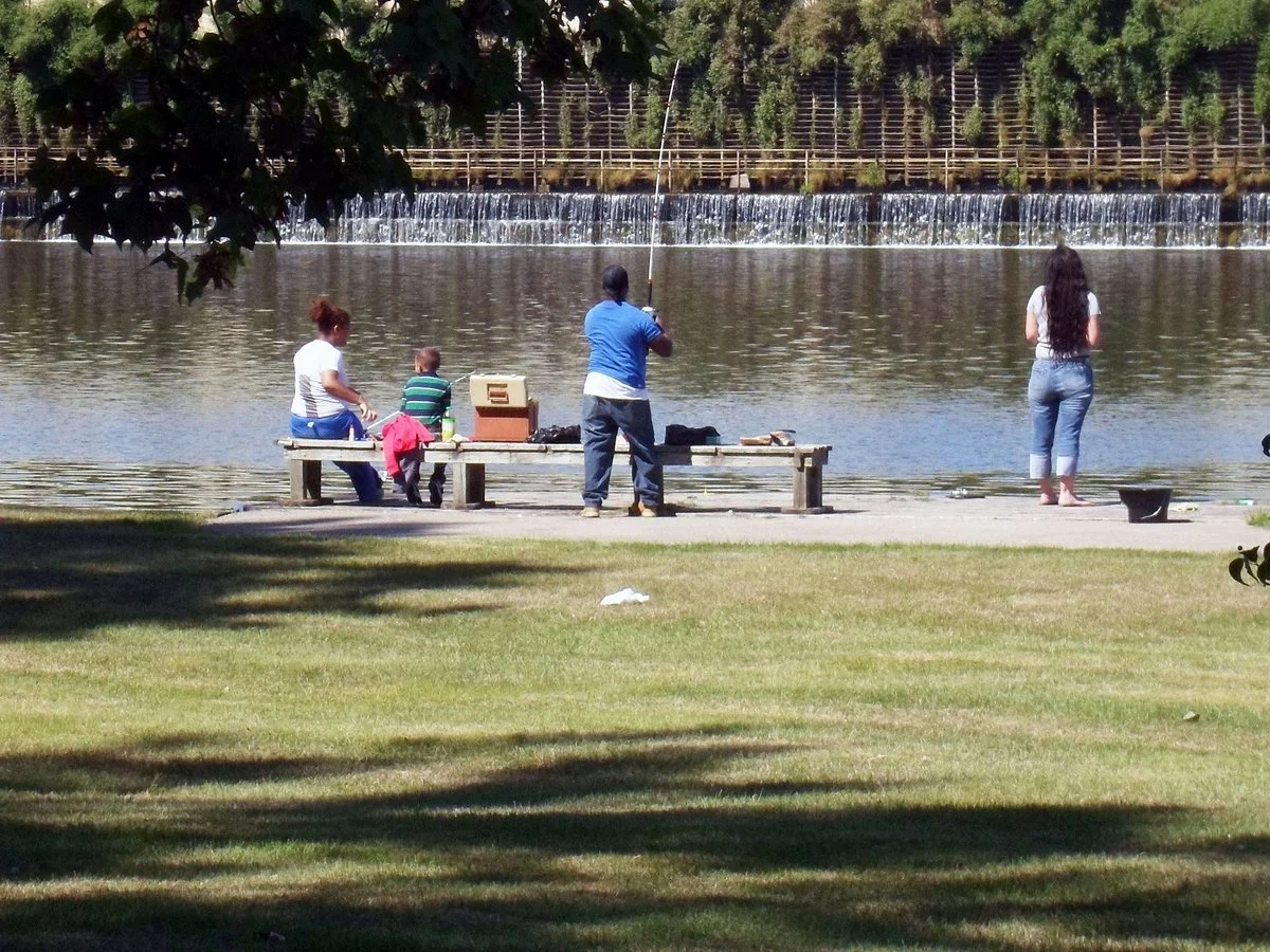 Moores Park