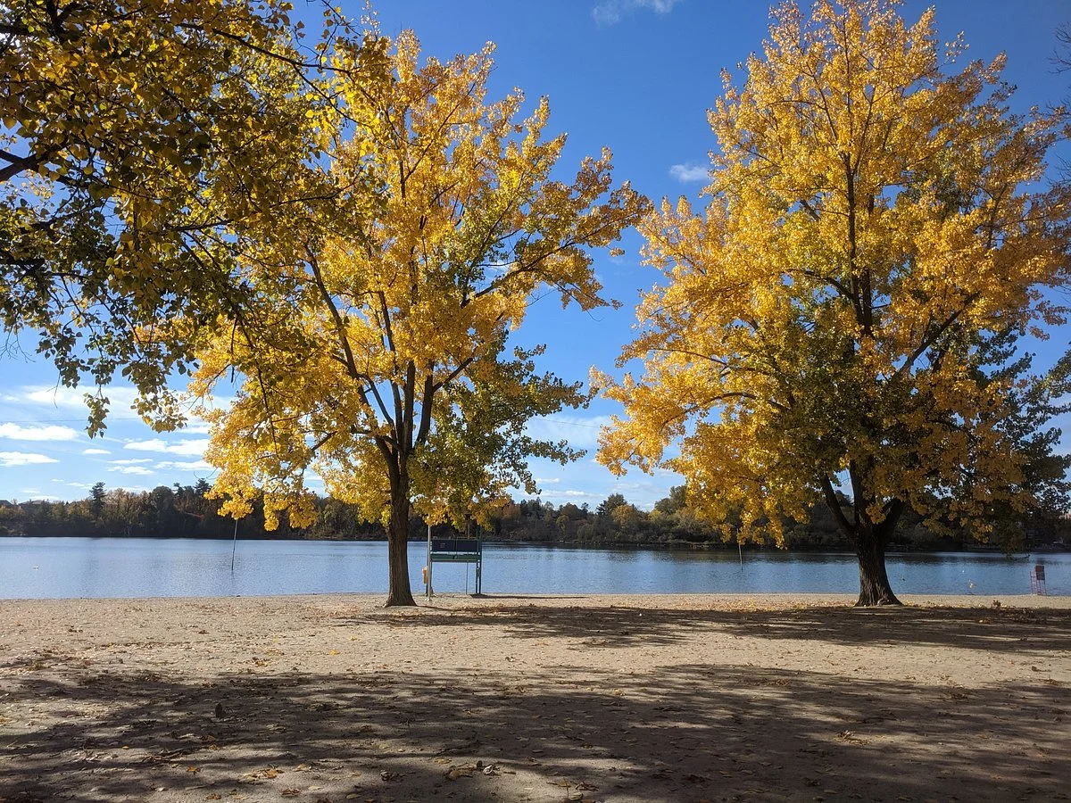 Mooney’s Bay Park