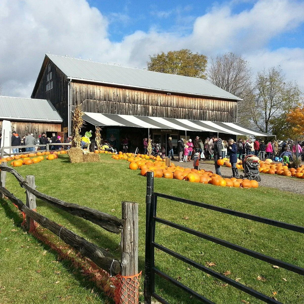 Chappell Farms