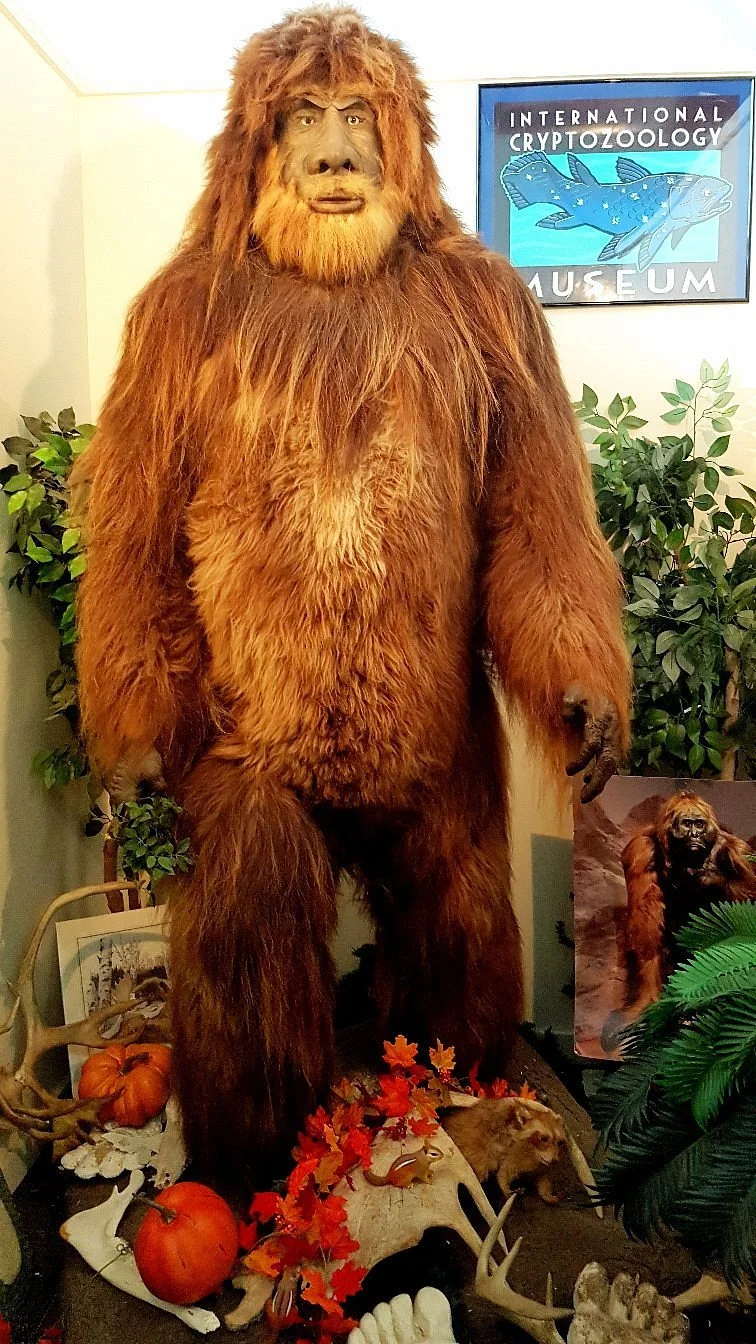 International Cryptozoology Museum