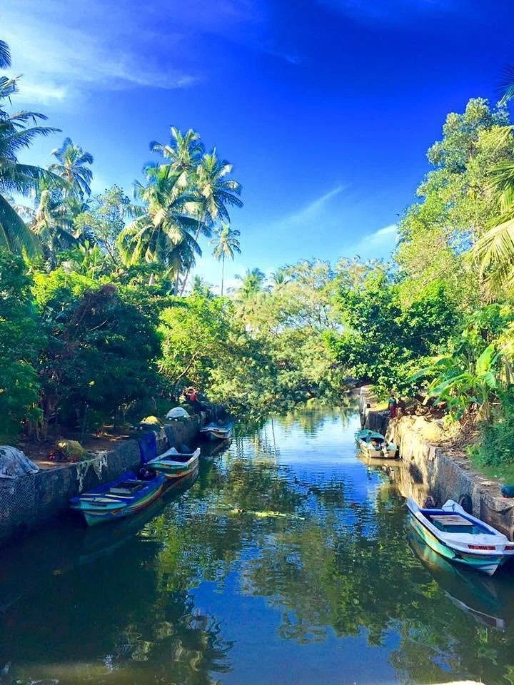 Dutch Canal