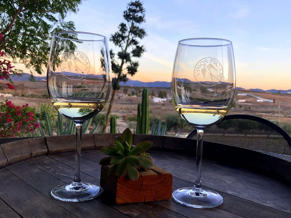Vinos Pijoan