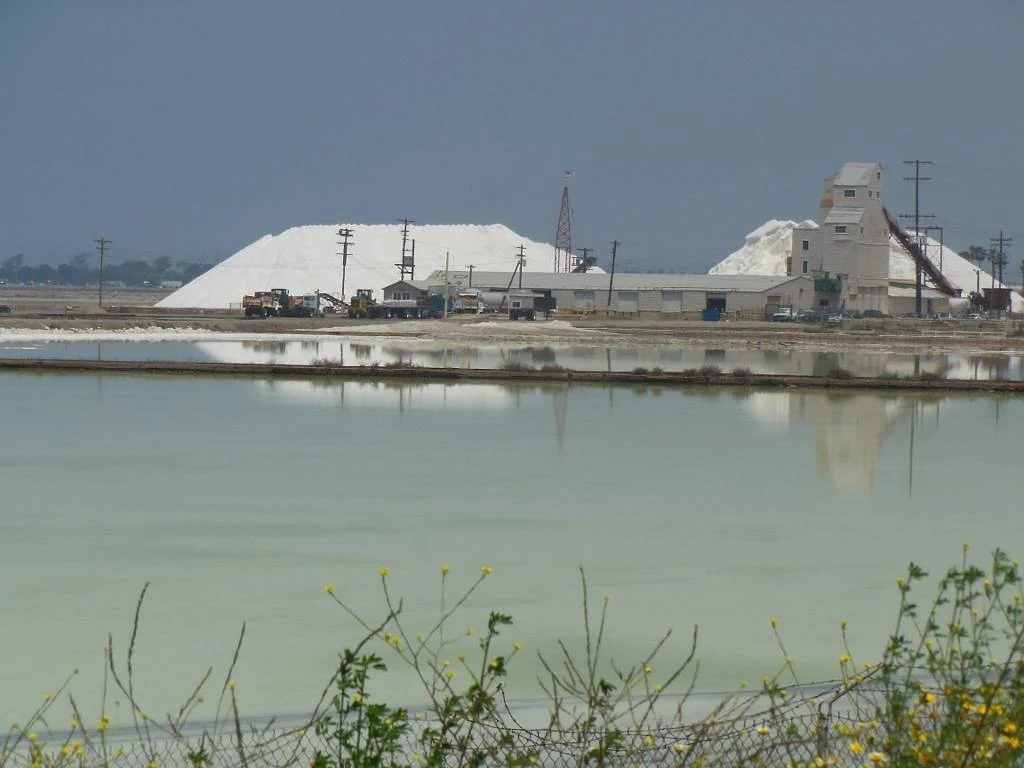 South Bay Salt Works