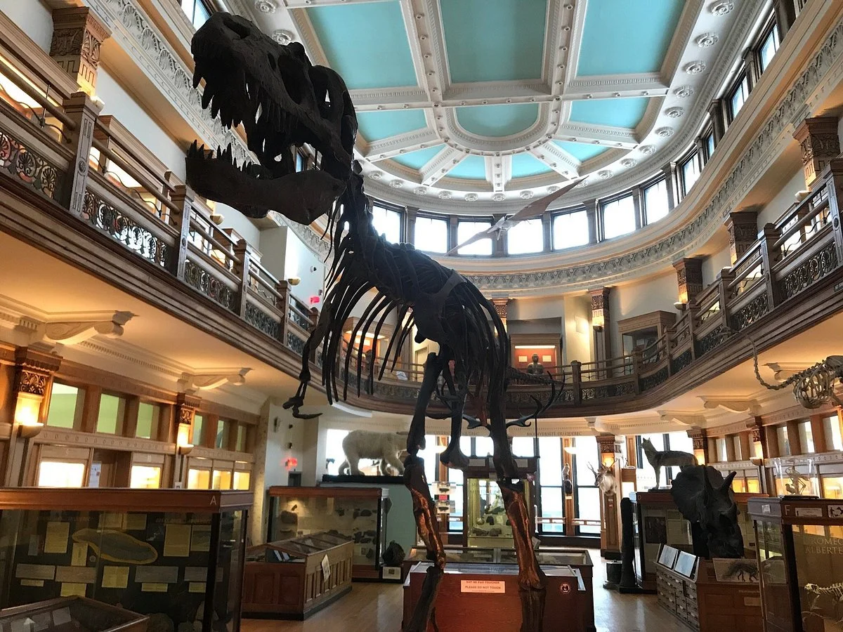 Musee Redpath