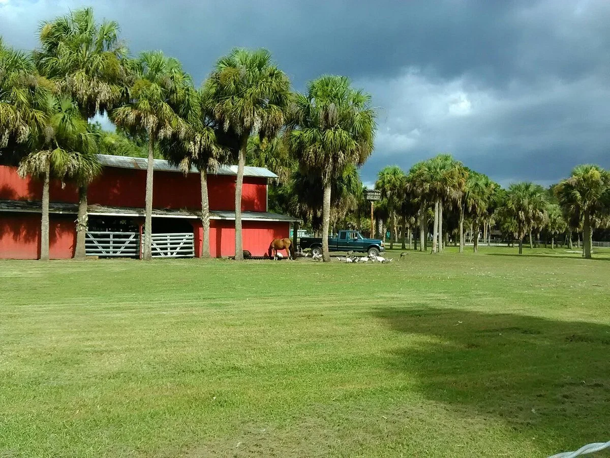 East Lake Fish Camp