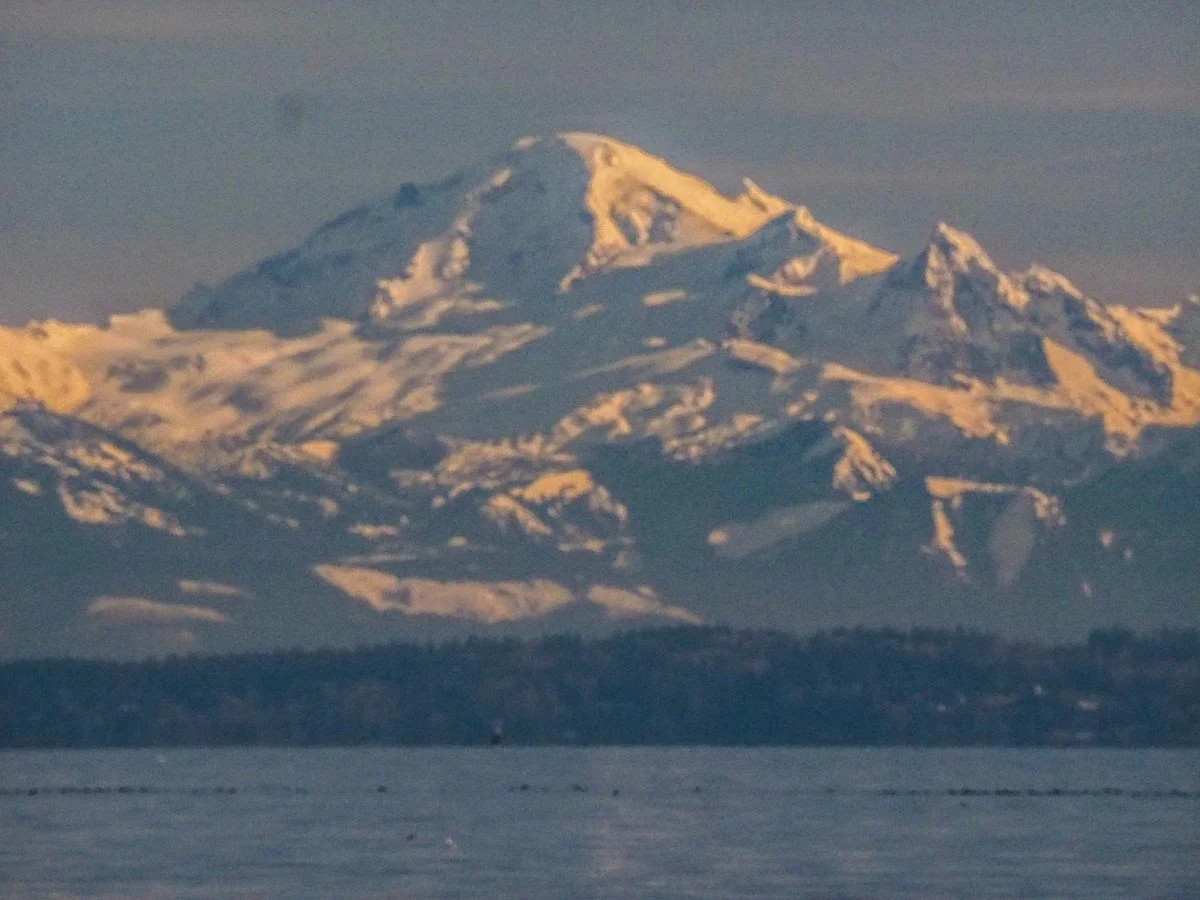 Boundary Bay Regional Park