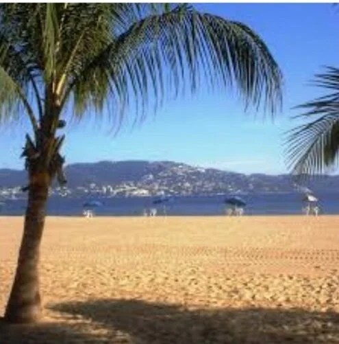 Playa Tamarindos