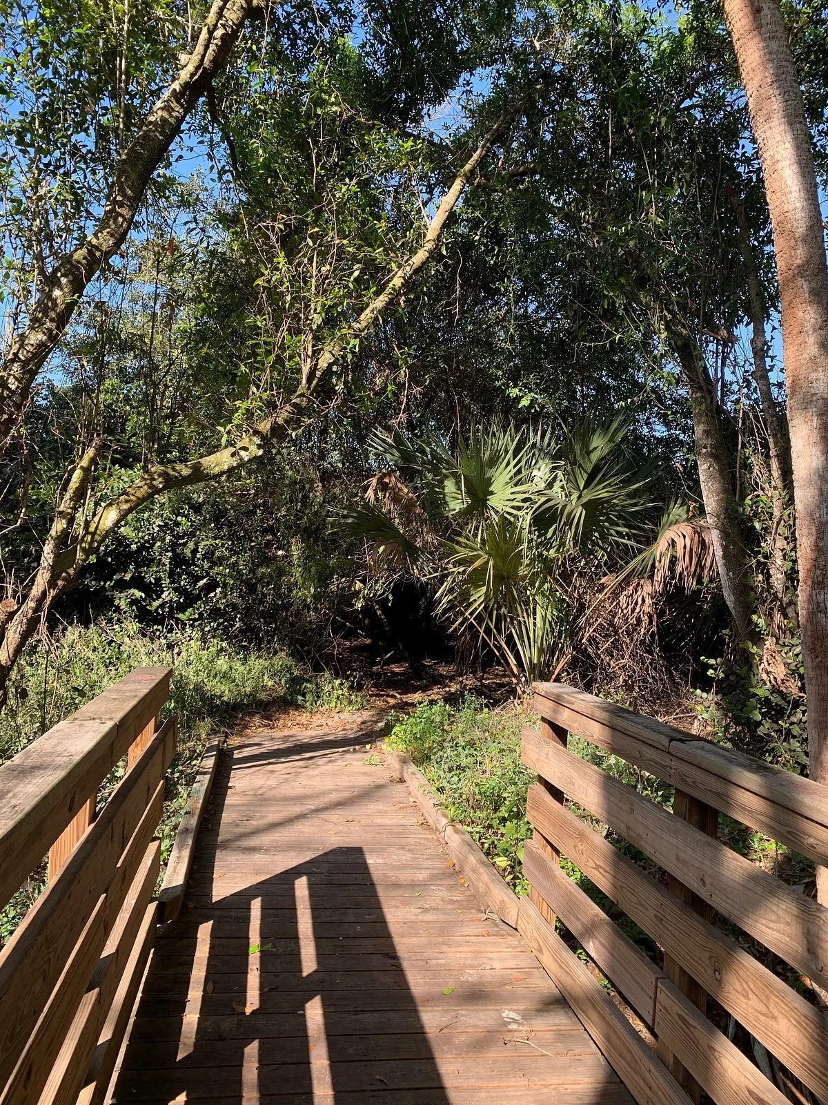 Cullum’s Bonita Trail
