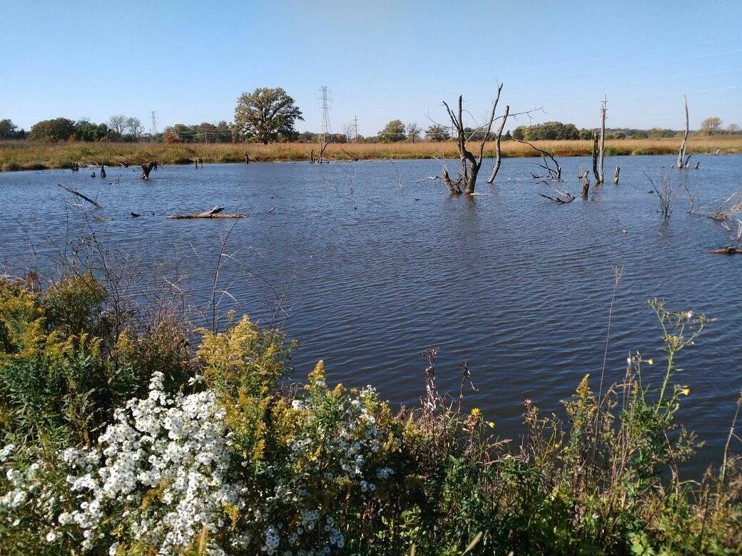 Lake County Forest Preserves