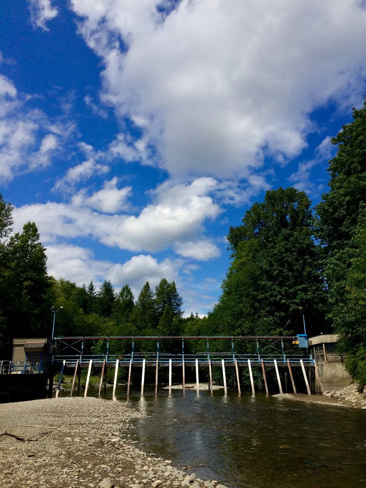 Quinsam River Hatchery