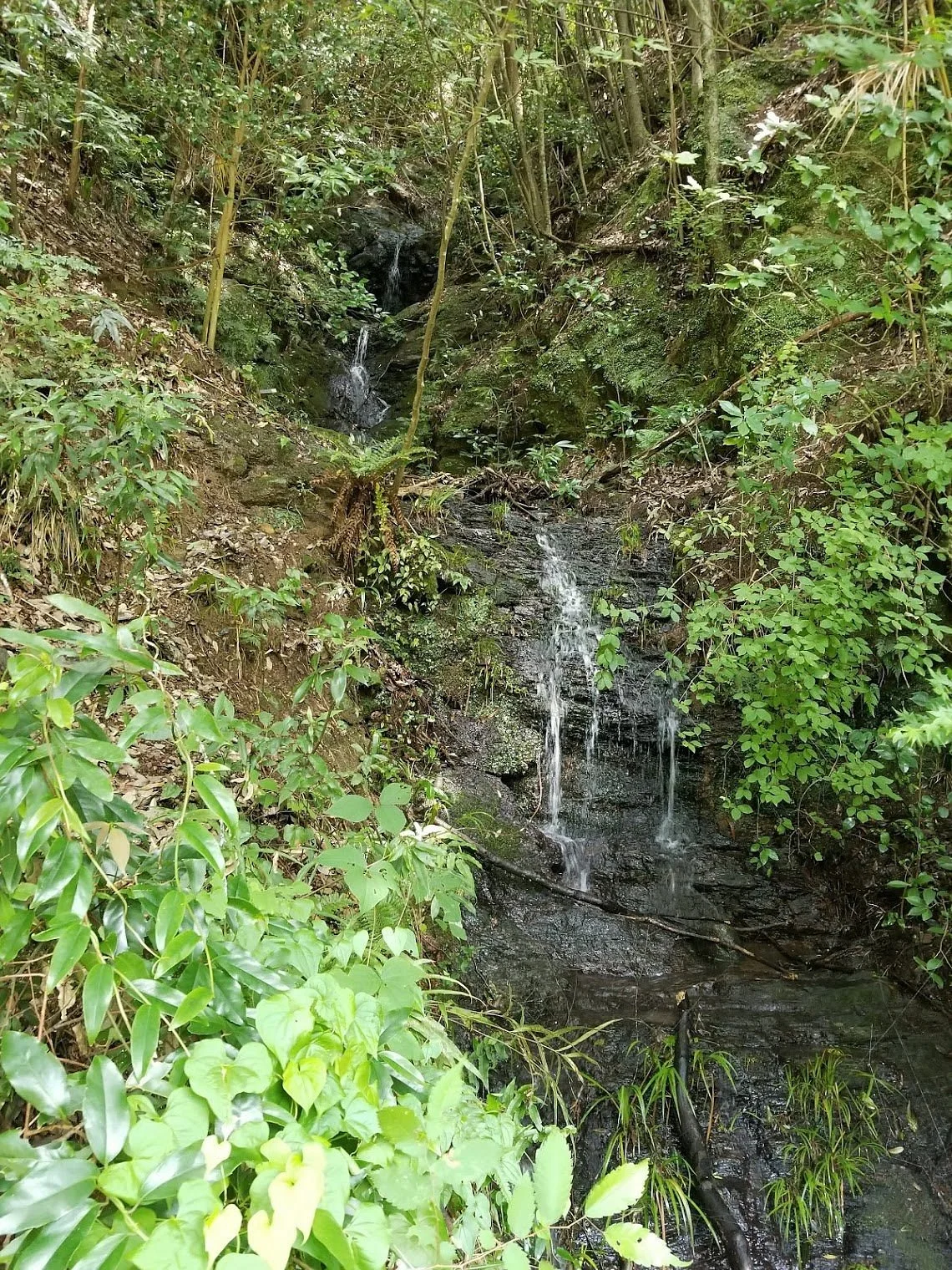 Kurokomichi