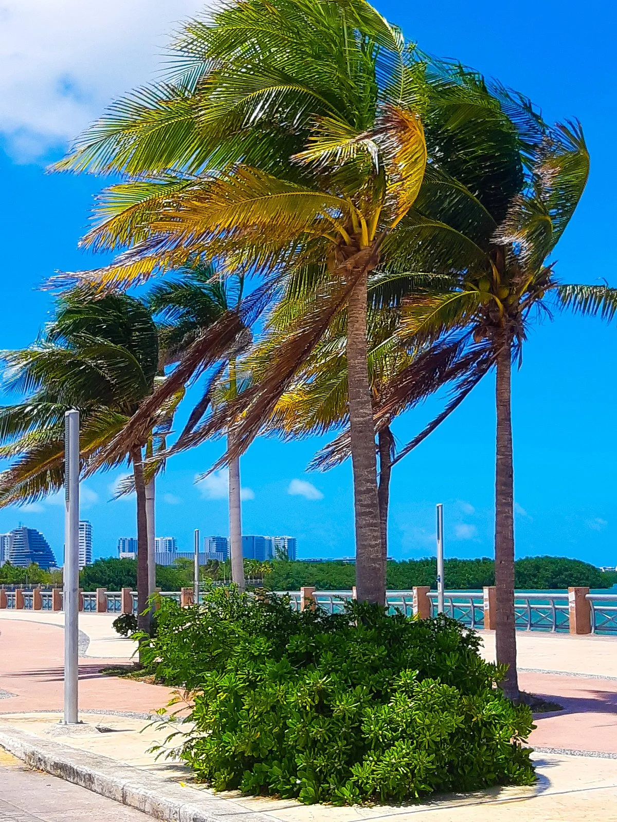 Malecon Tajamar