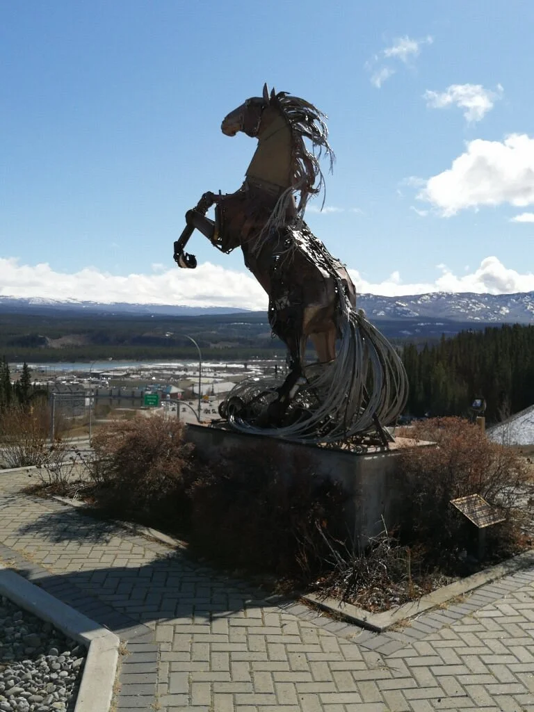 "The Whitehorse Horse"