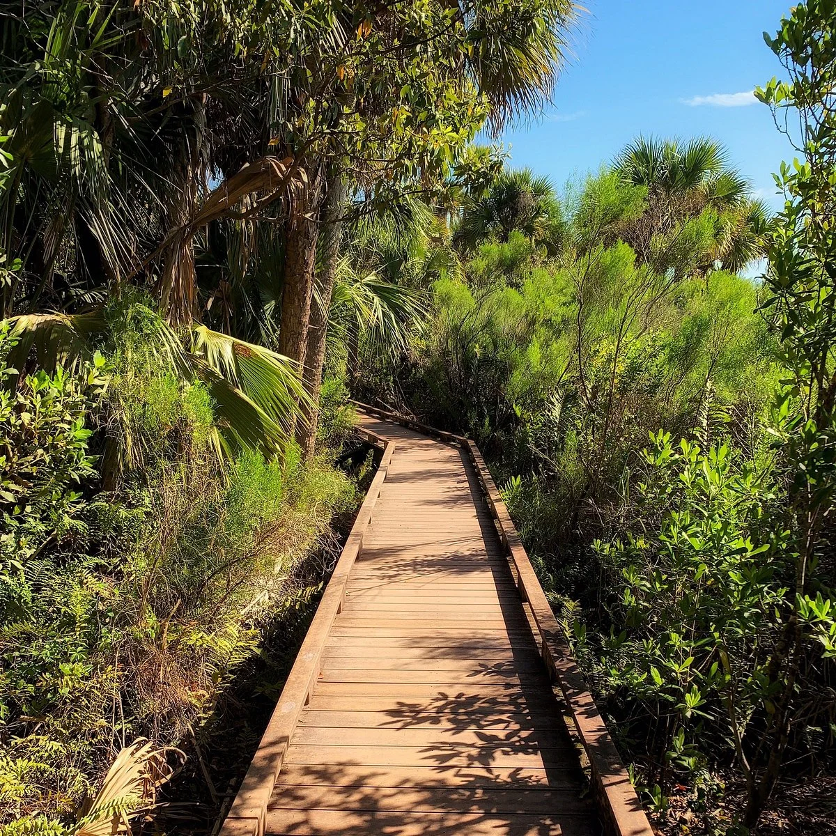 Caloosahatchee Creeks Preserve West