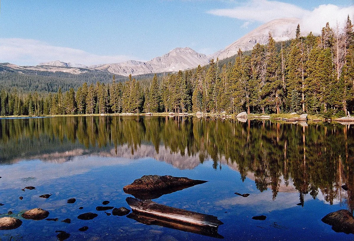 Wild Basin Area