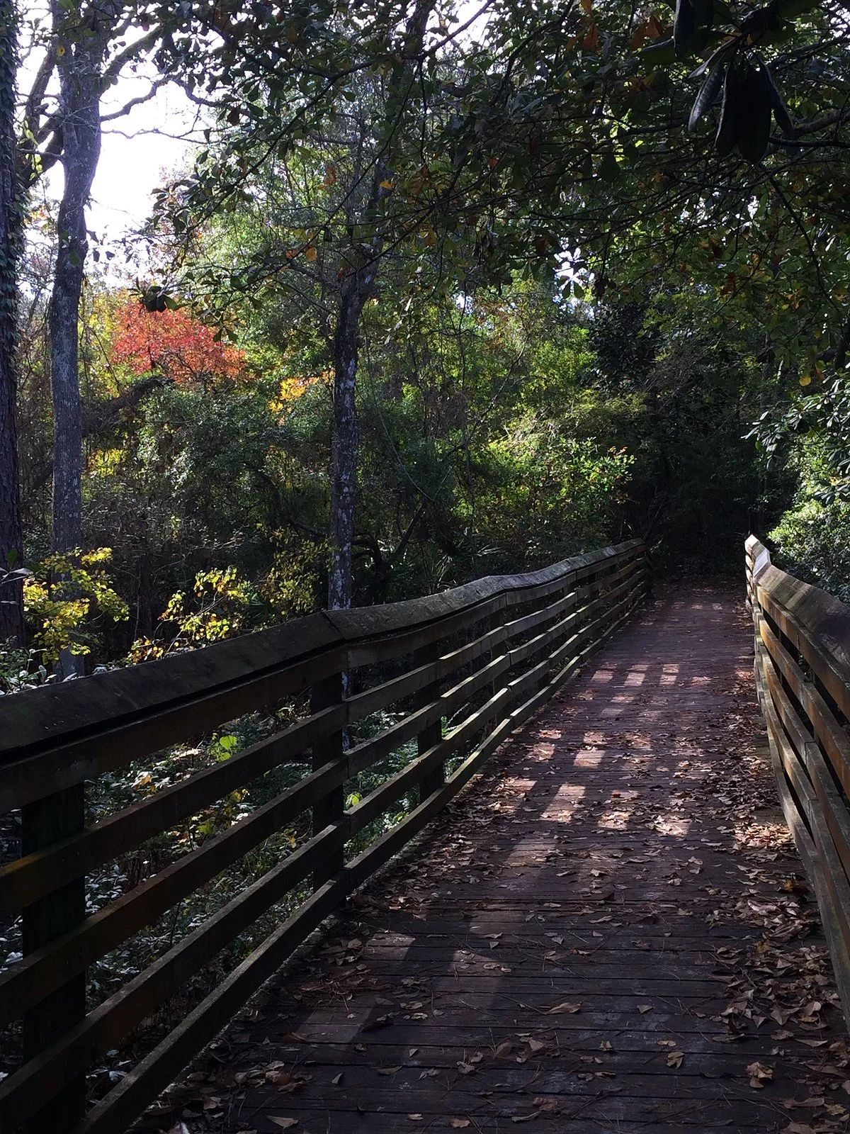Oak Tree Nature Park