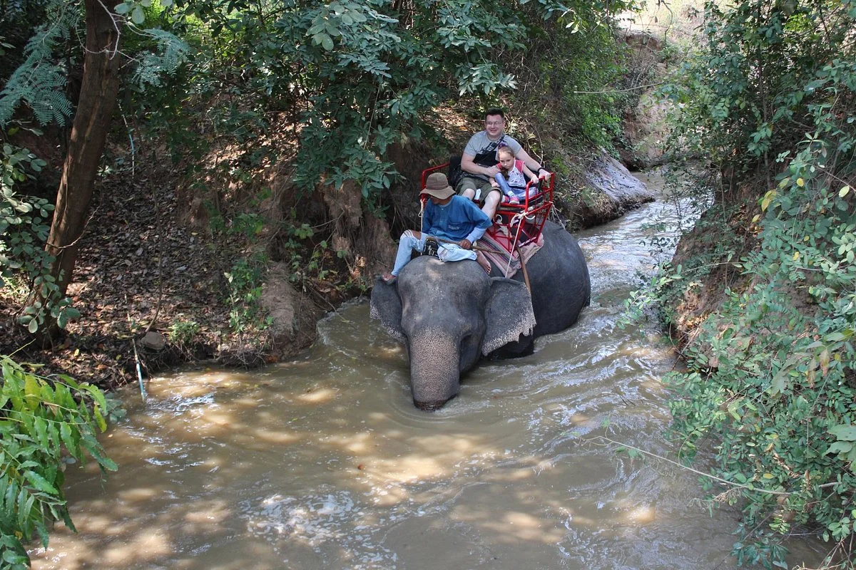 Elephant Village