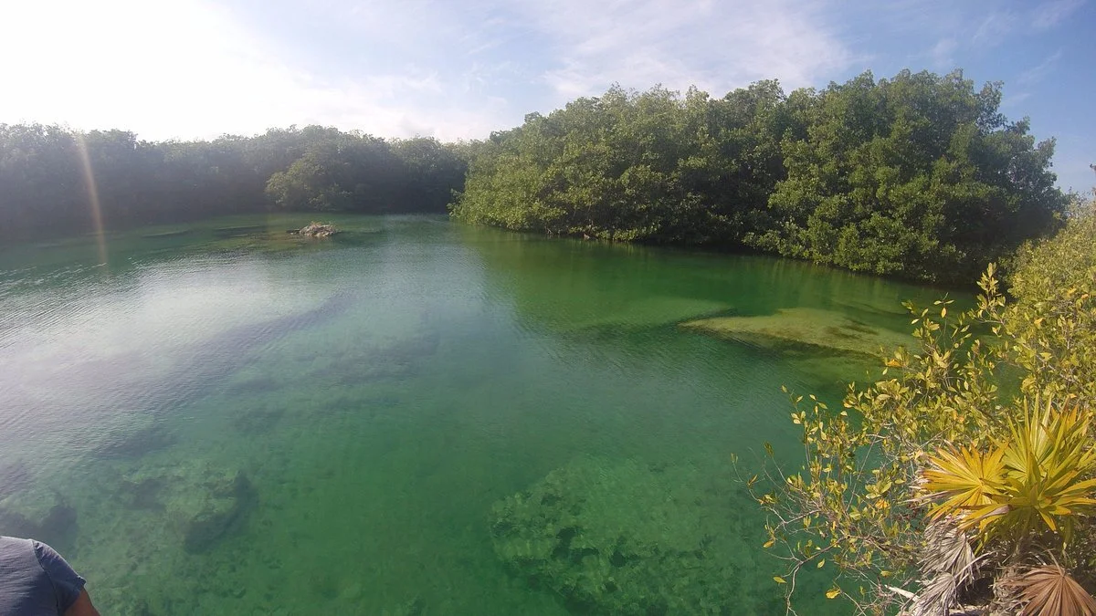 Cenote Media Luna