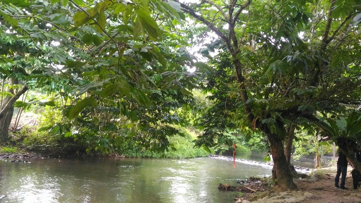 Riverside Janda Baik