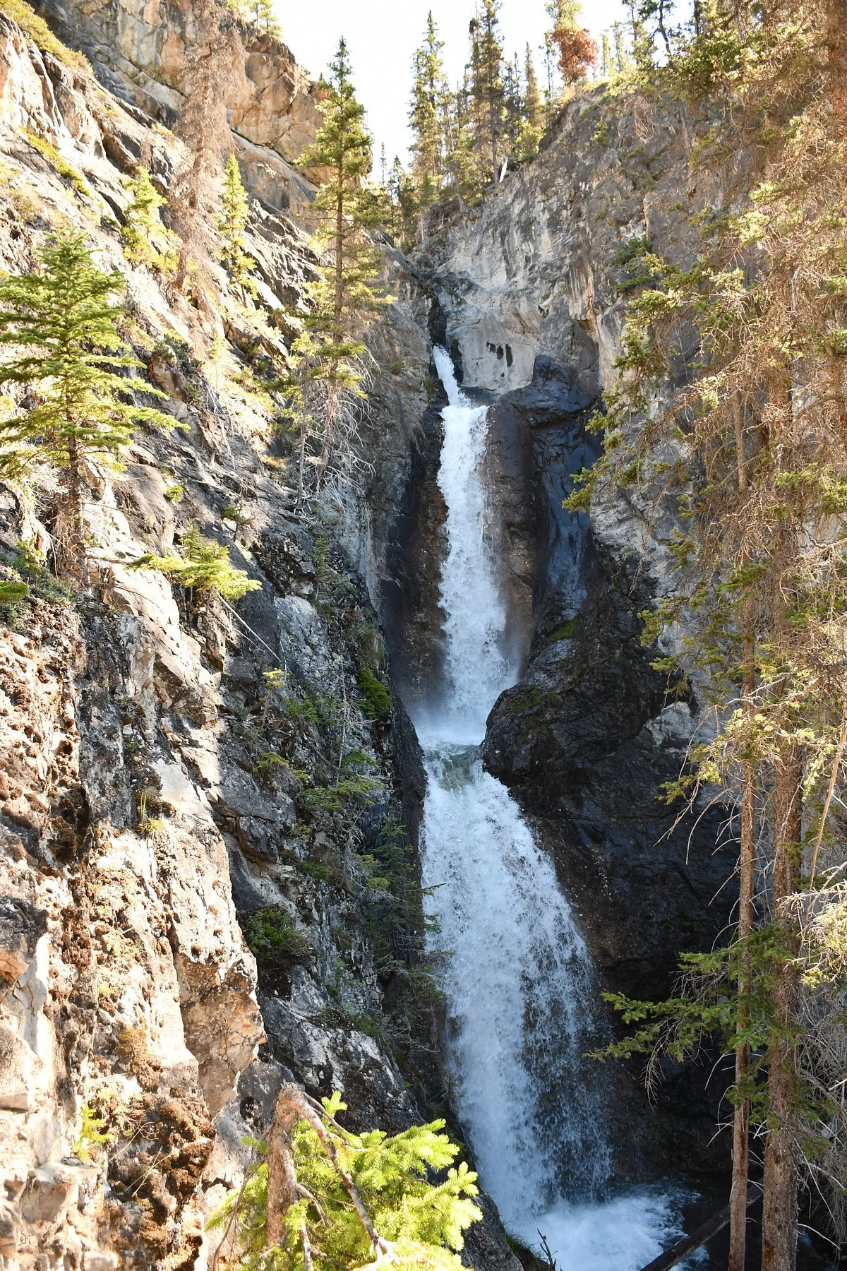 Silverton Falls