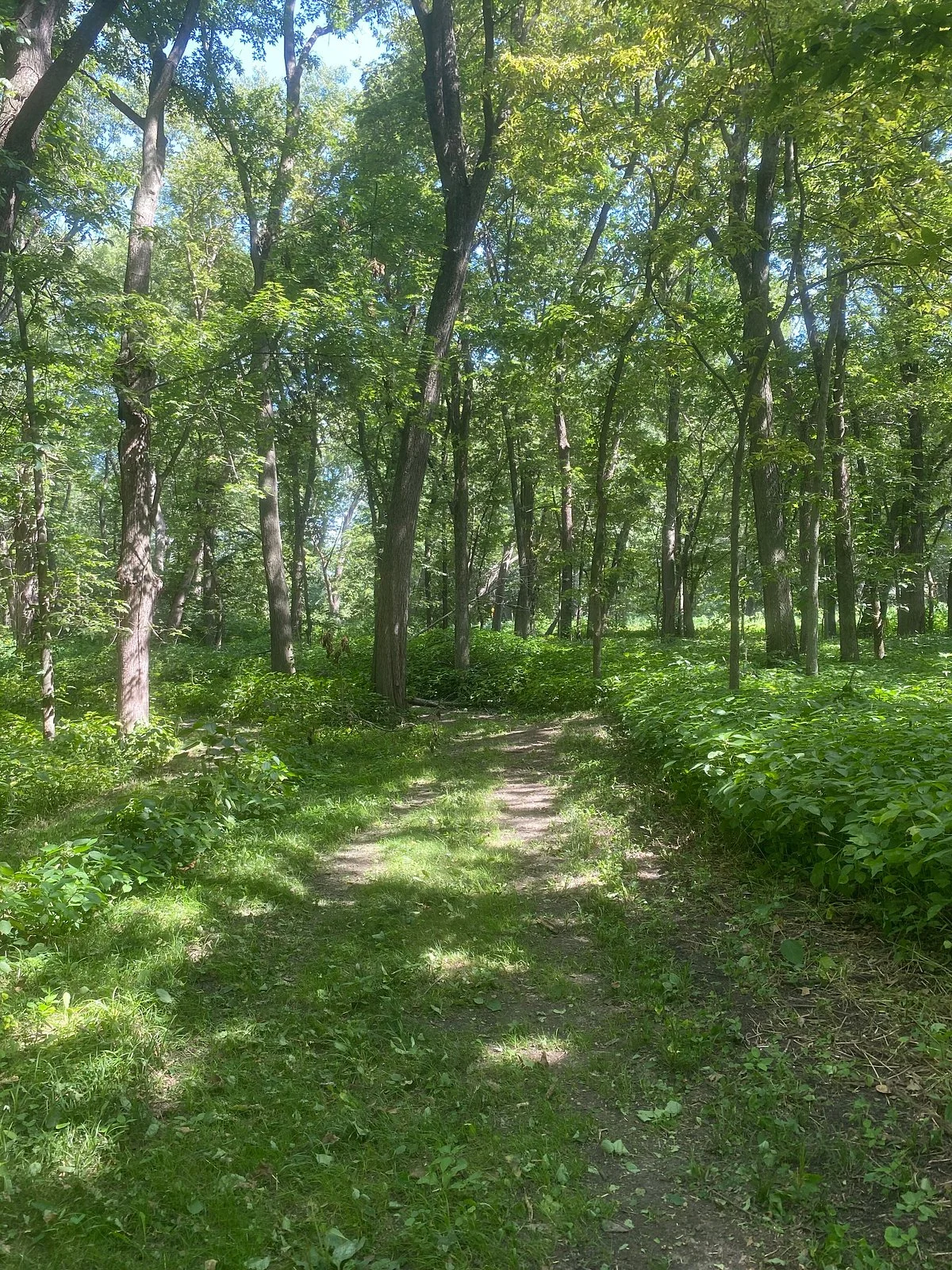 Walnut Woods State Park