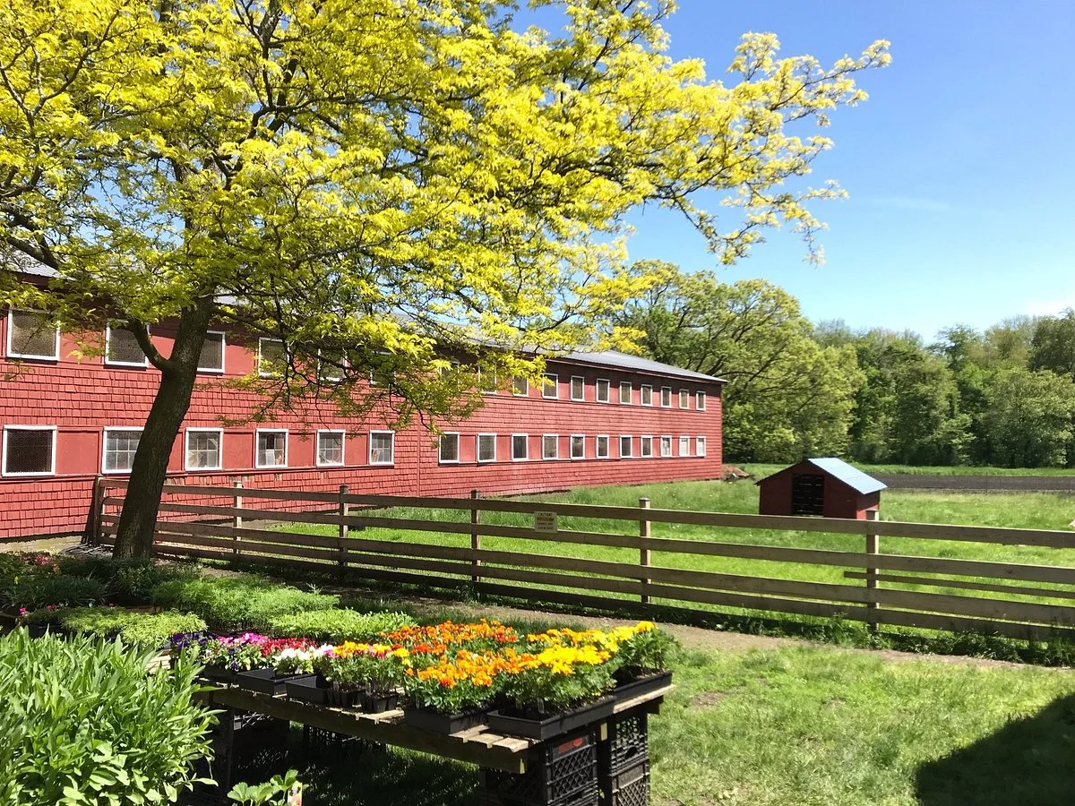 Chip-in Farm