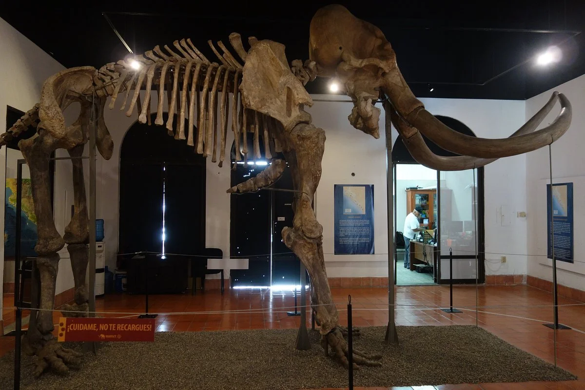 Museo Arqueologia