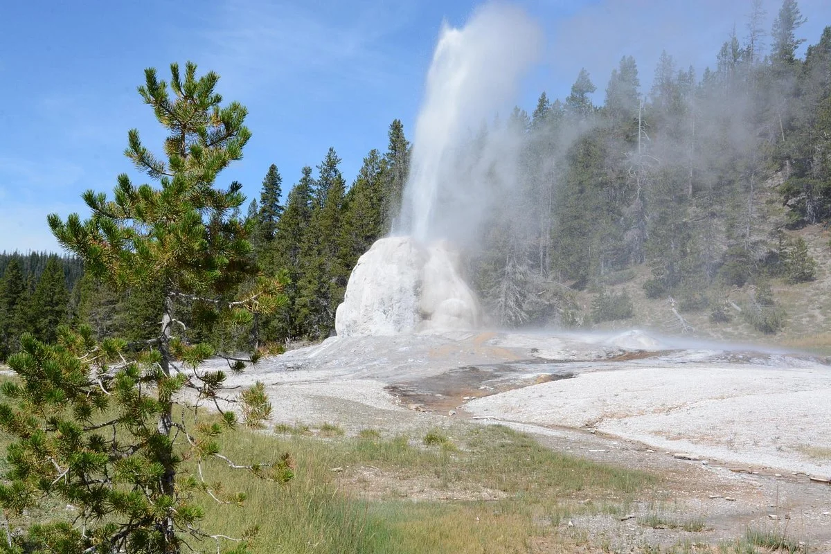 Lone Star Geyser