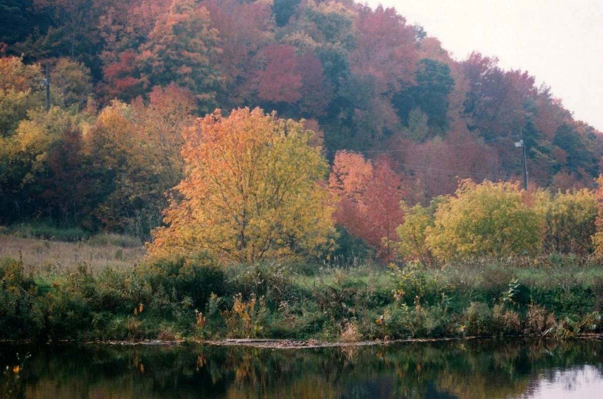 Macaulay Mountain Conservation Area