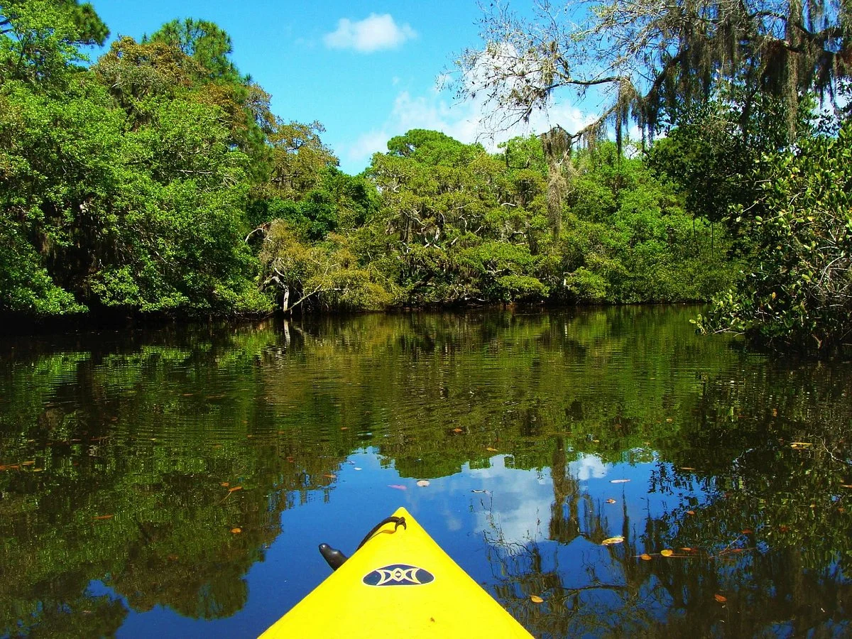 Oscar Scherer State Park