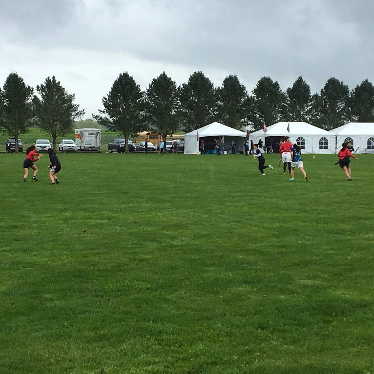 Skagit River Park Playfields