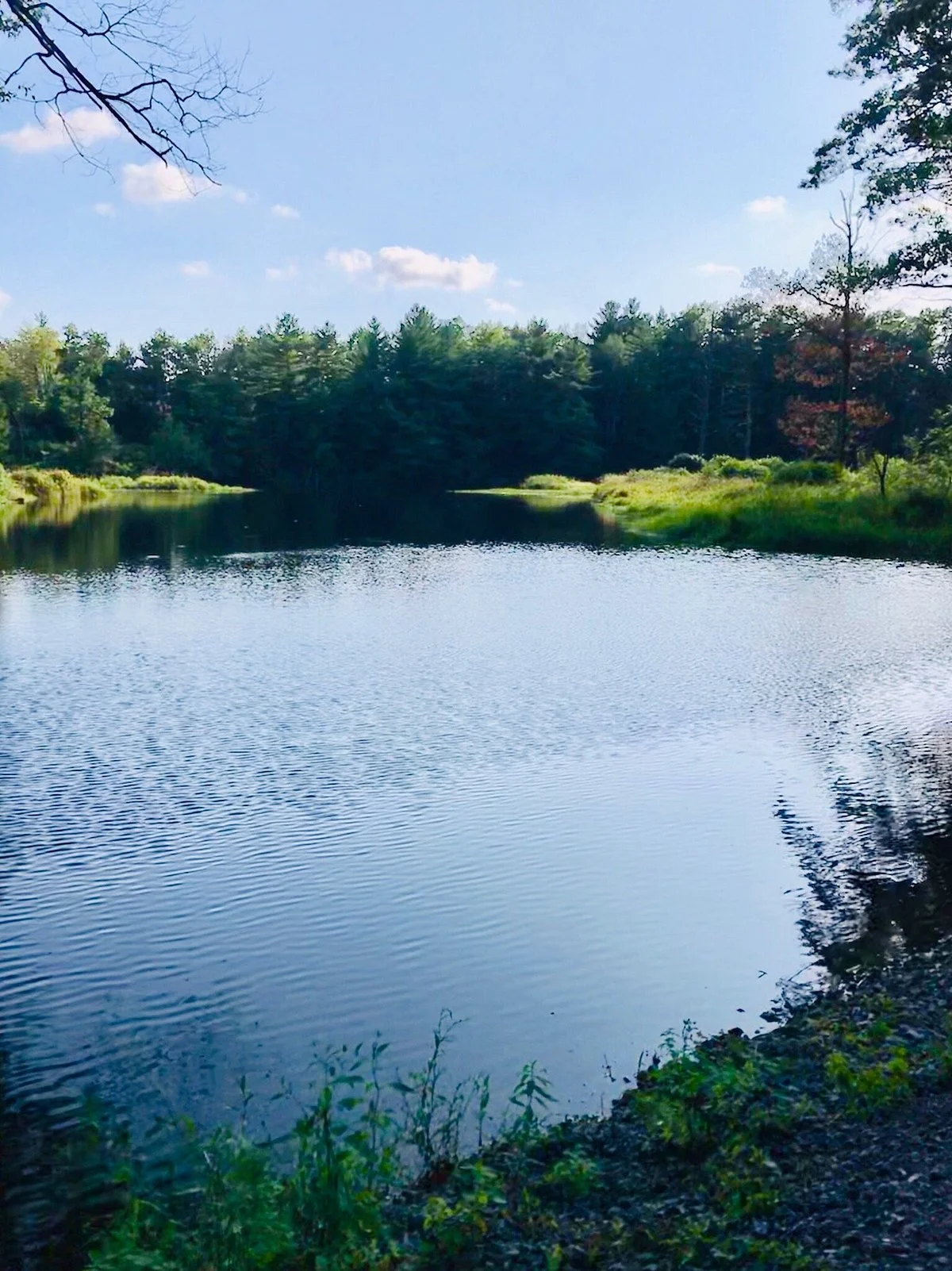 Poors Island Trails