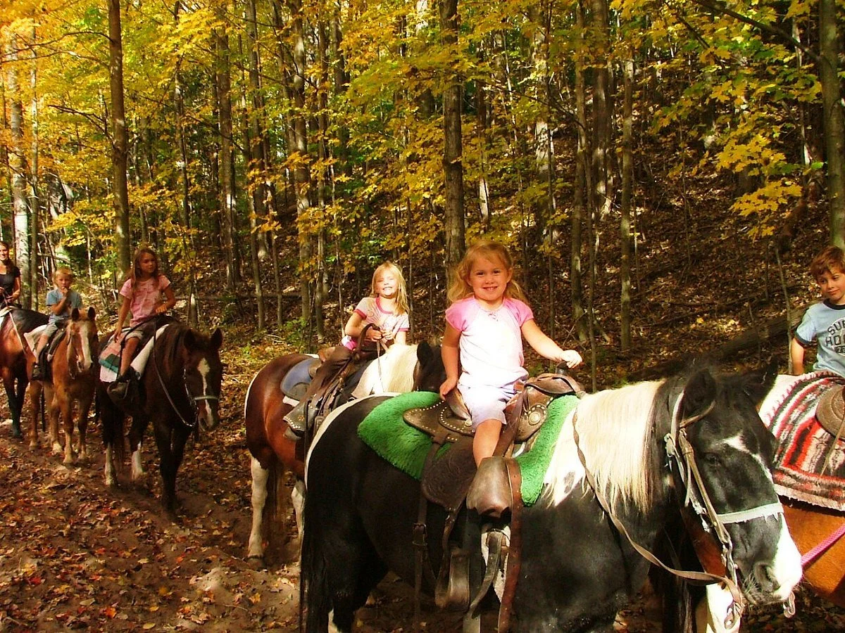 Stony Lake Stables
