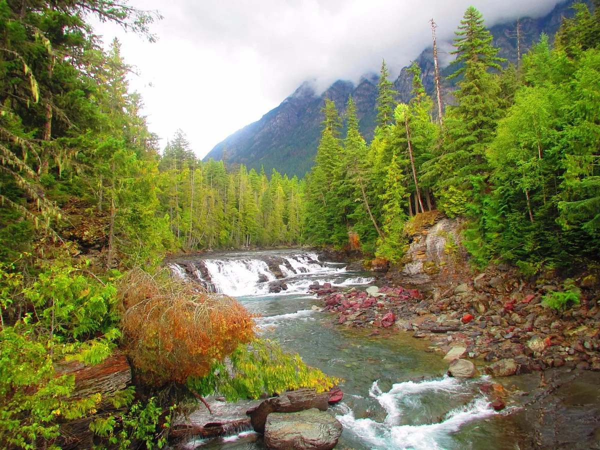 McDonald Creek