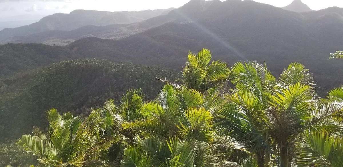 Mount Britton Trail