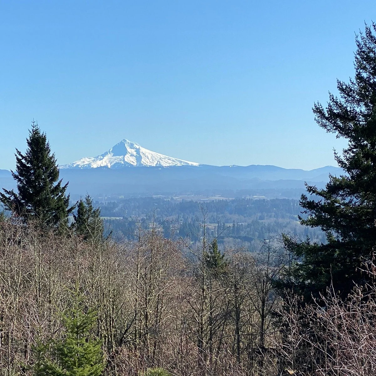 Hogan Butte Nature Park