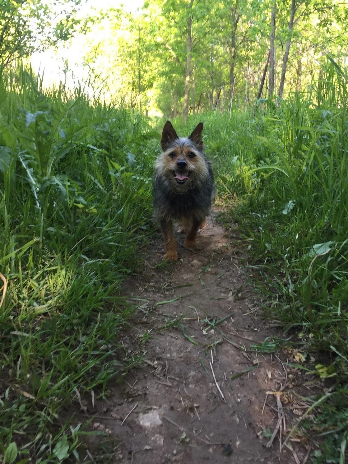 Outagamie County Pet Exercise Area, Appleton, WI