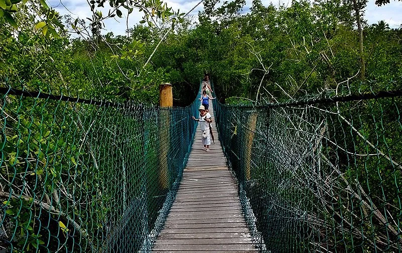Cocodrilario La Manzanilla