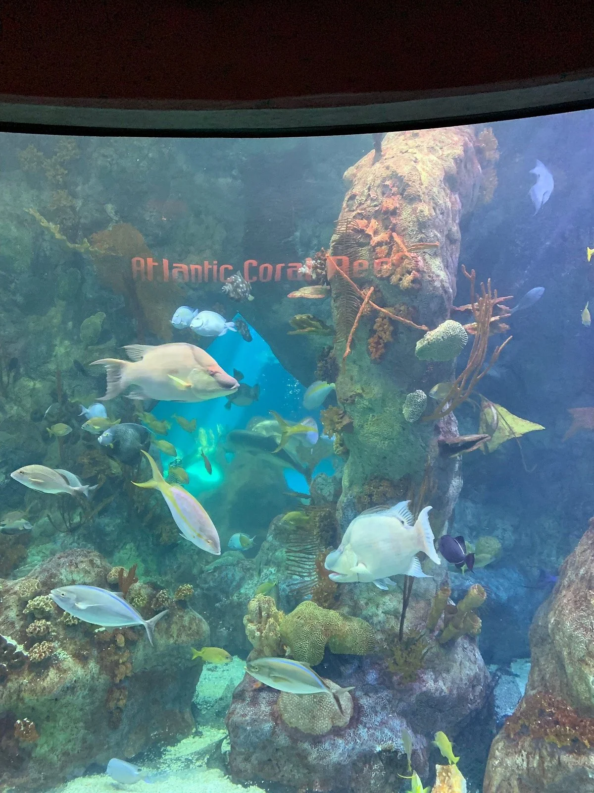 ABQ BioPark Aquarium