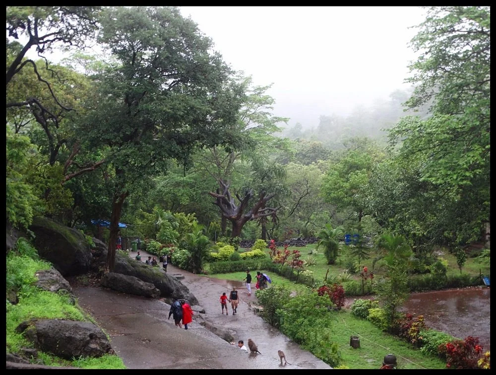 Sanjay Gandhi National Park