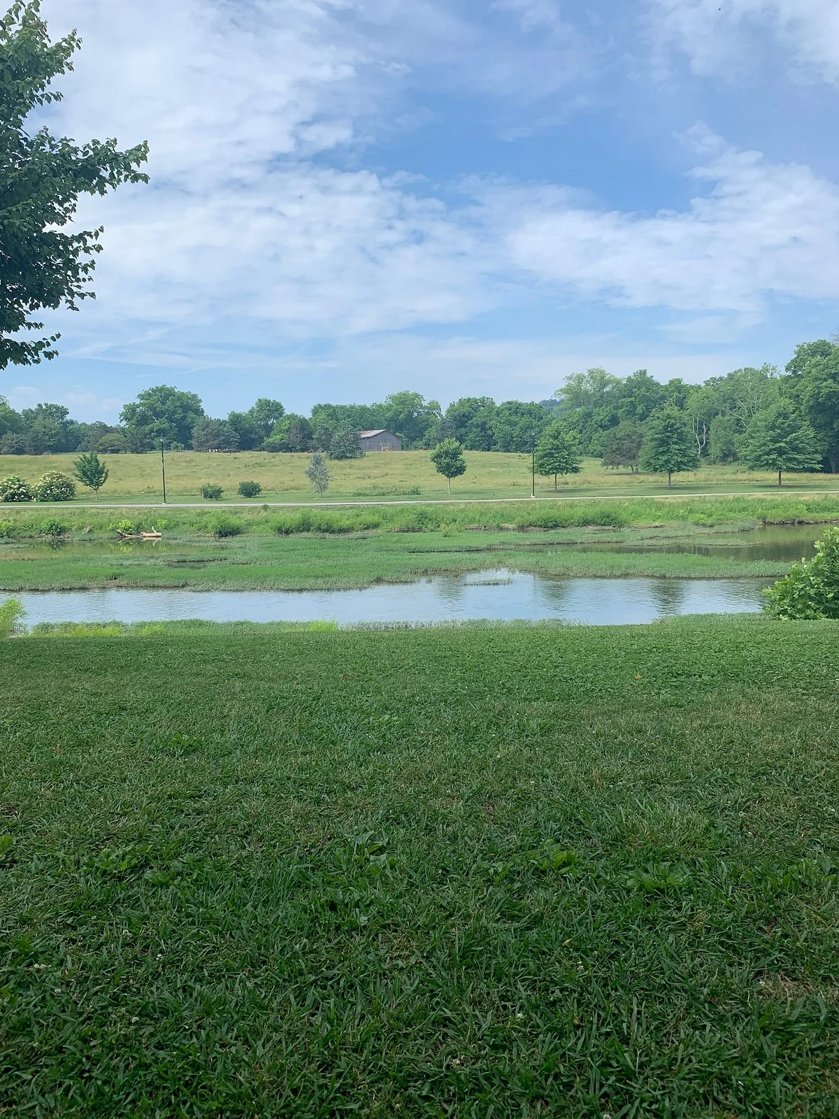 The McMahan Indian Mound