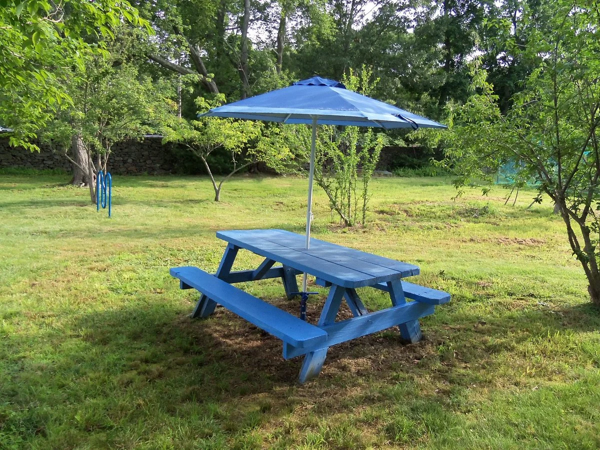 Rocky Point Blueberry Farm