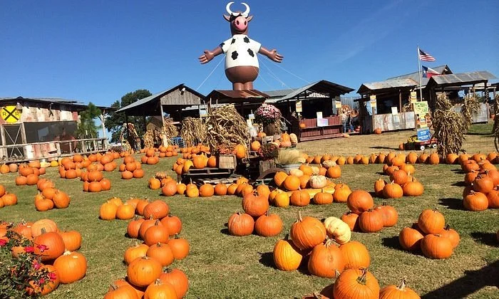 YesterLand Farm