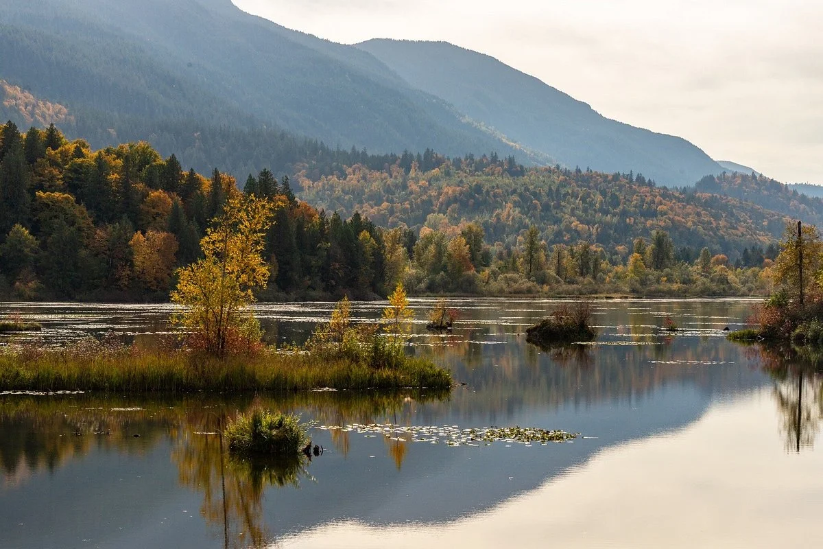 Cheam Lake Wetlands Regional Park