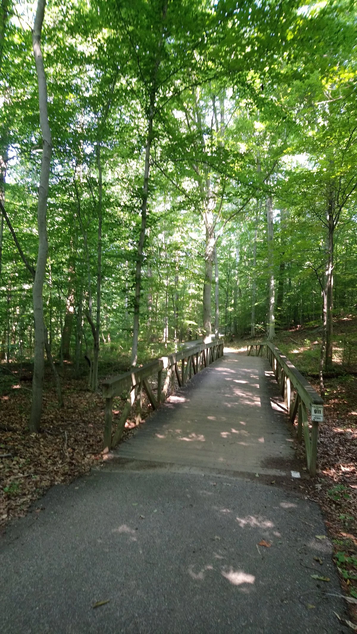 Savage Park